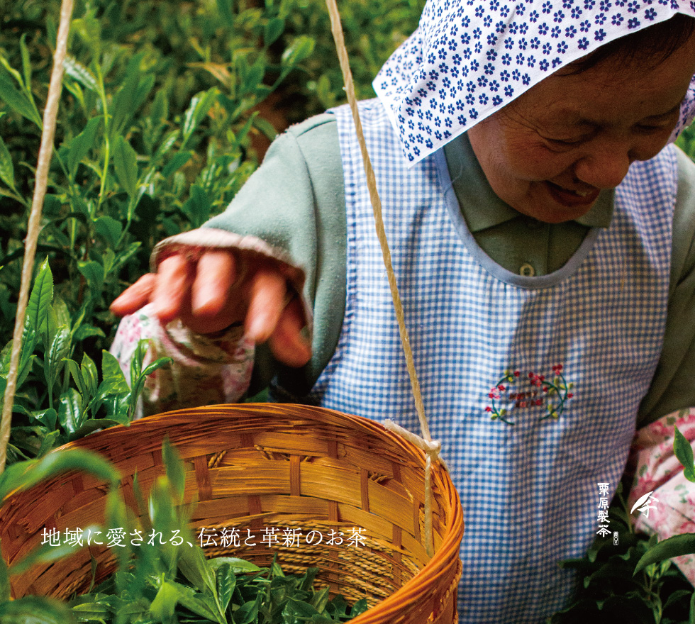 Kurihara Tea