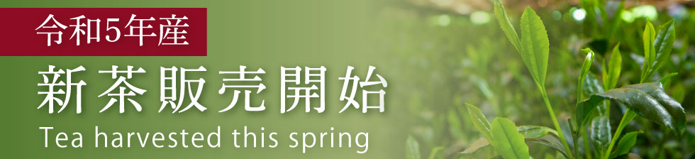 令和5年にとれた新茶販売開始しました